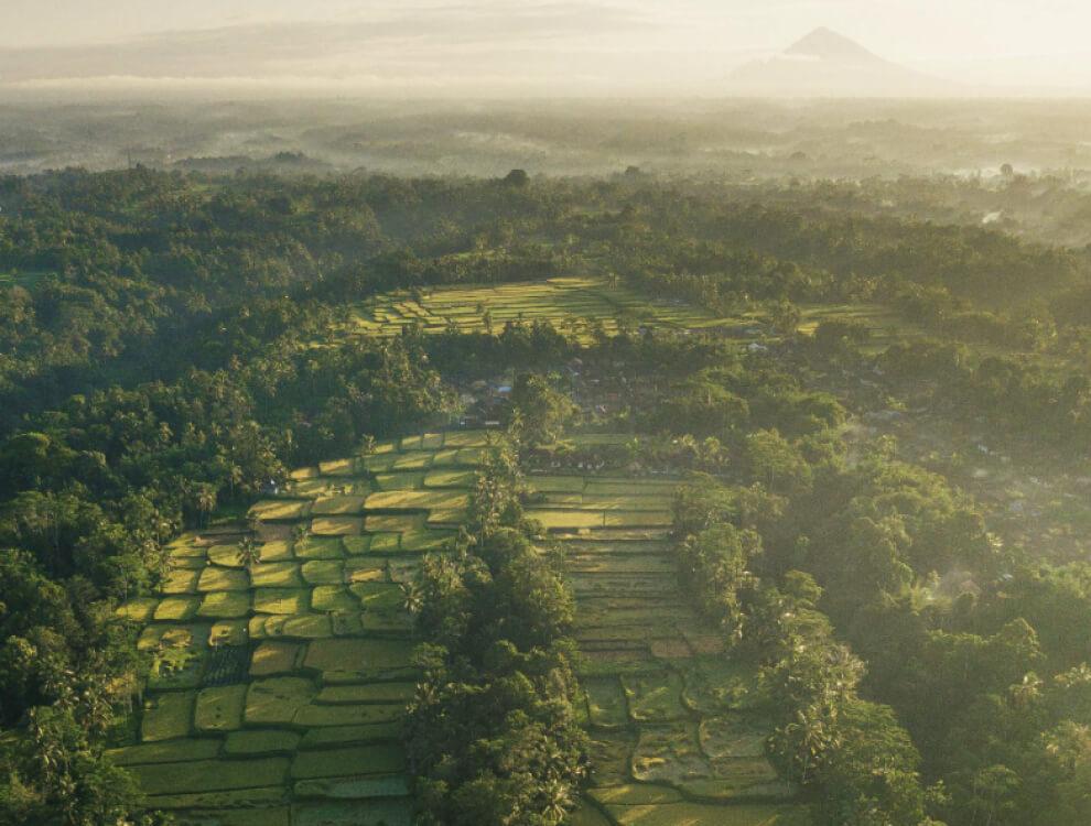 Legacy of the Land